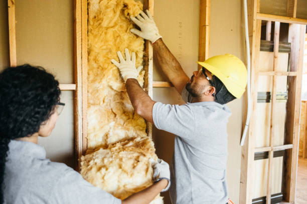 Types of Insulation We Offer in Mcqueeney, TX